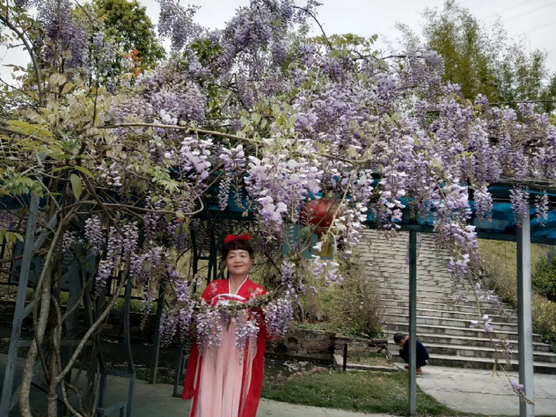 莉莉的第一张照片--福安婚介网