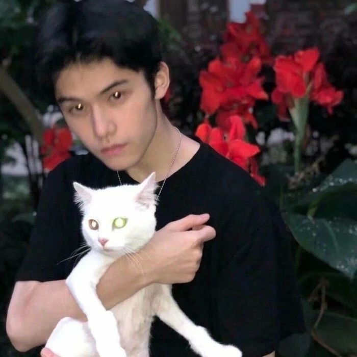 爷的魅力你不懂的第一张照片--福安婚介网