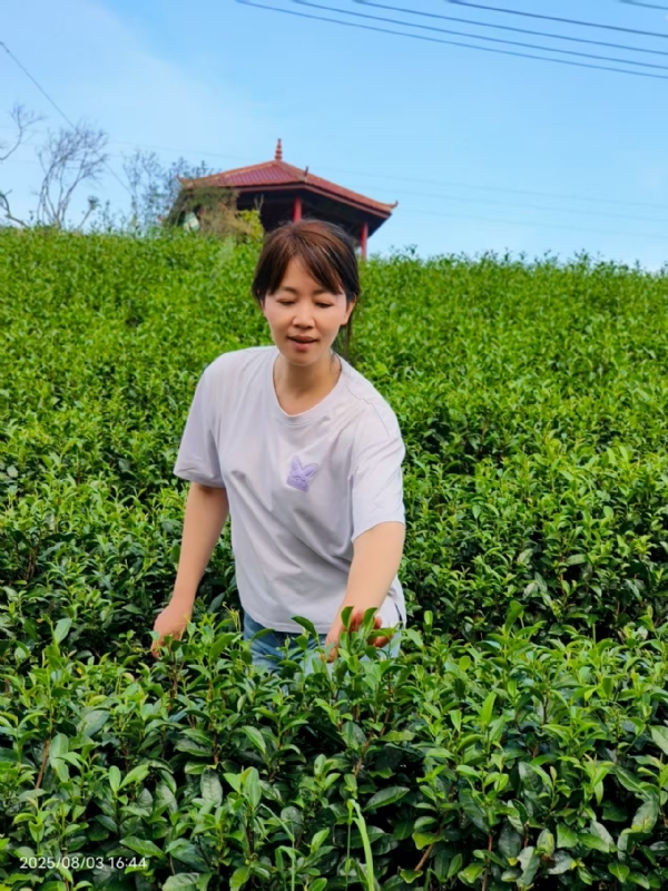 Q绮芳的第一张照片--福安婚介网